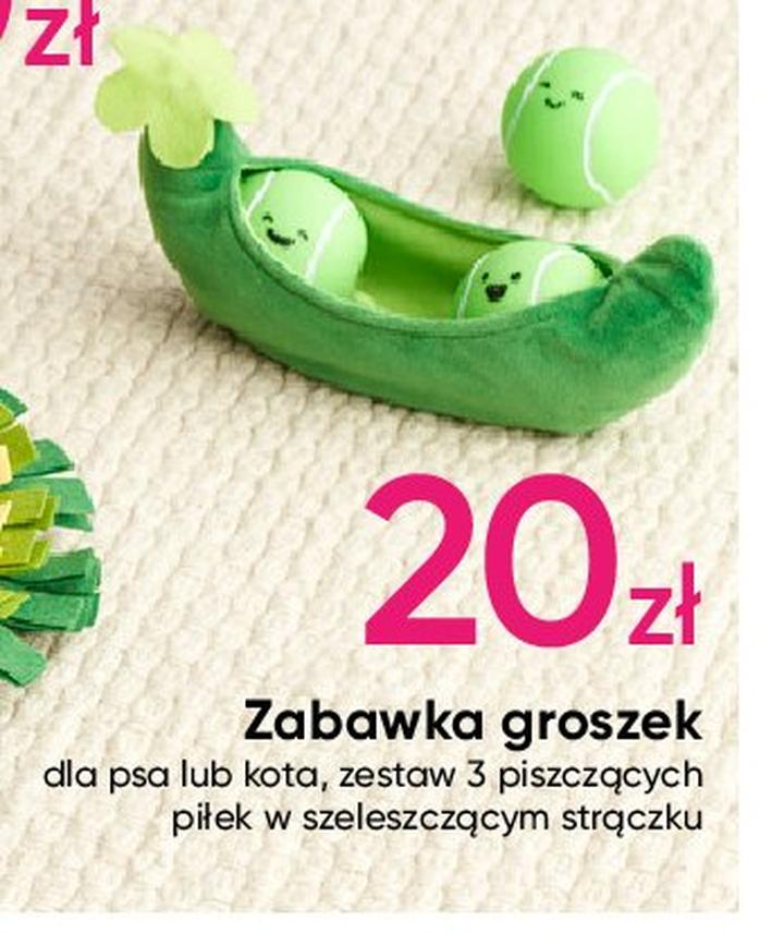 Groszek w diecie psów