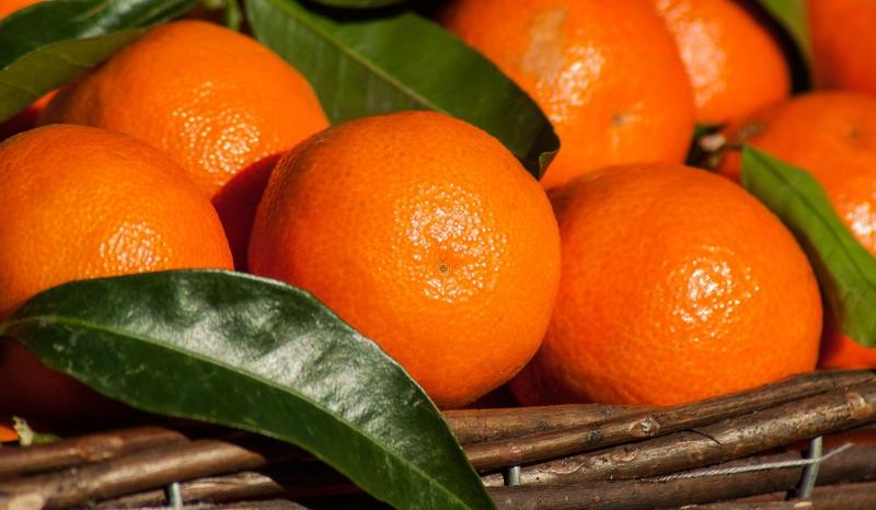 Mandarynki dla chomika