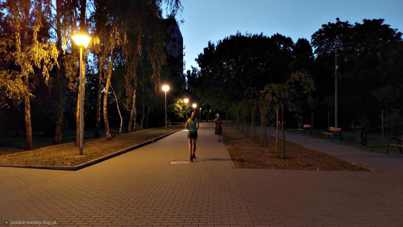 Nocne życie przyrody