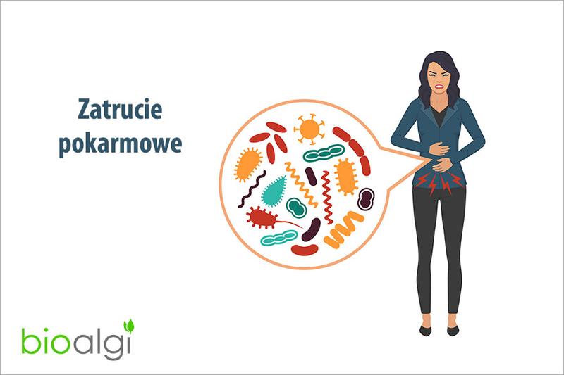 Ochrona zwierząt domowych