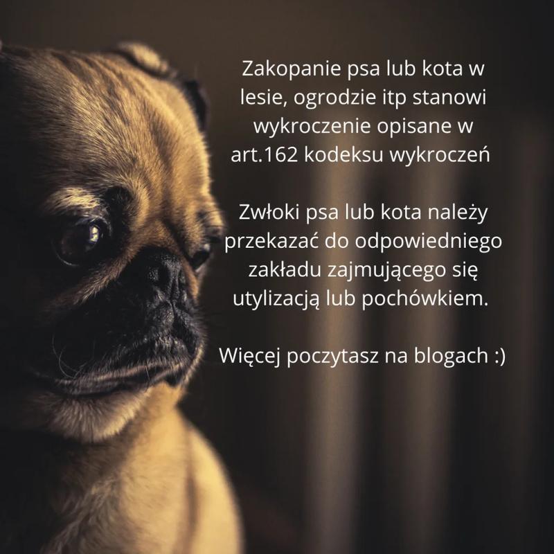 Prawo pochówku zwierząt