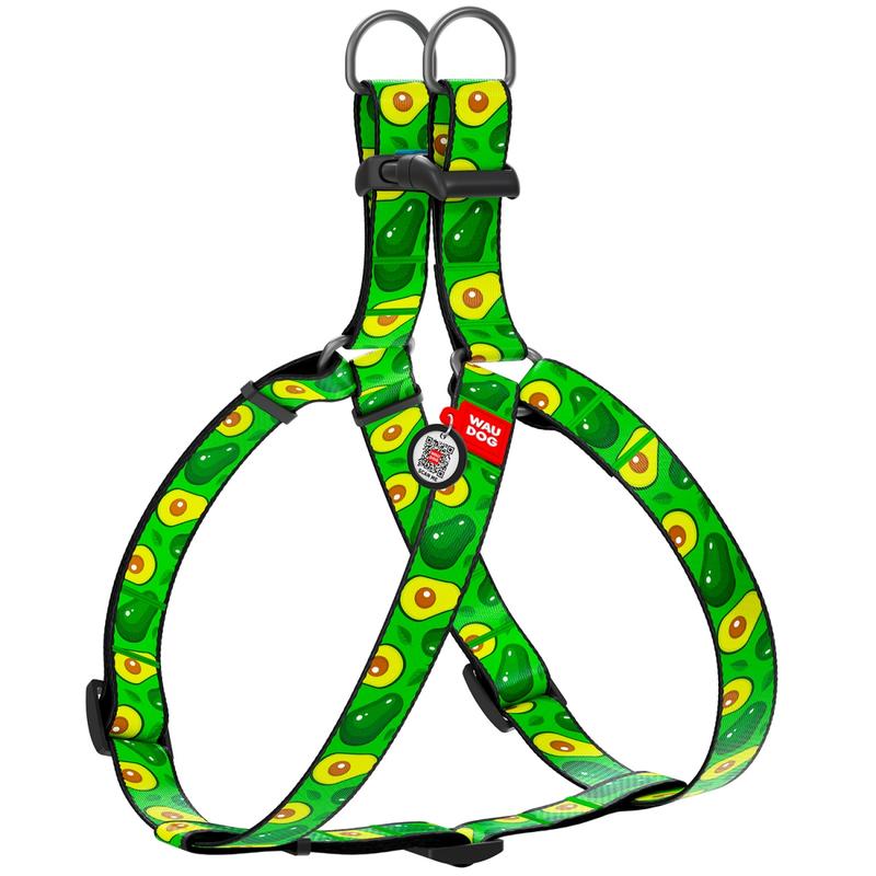 Ryzyko zatrucia psów