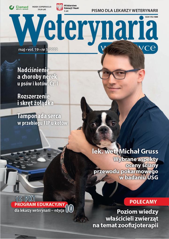 Skorupki jajek dla psa