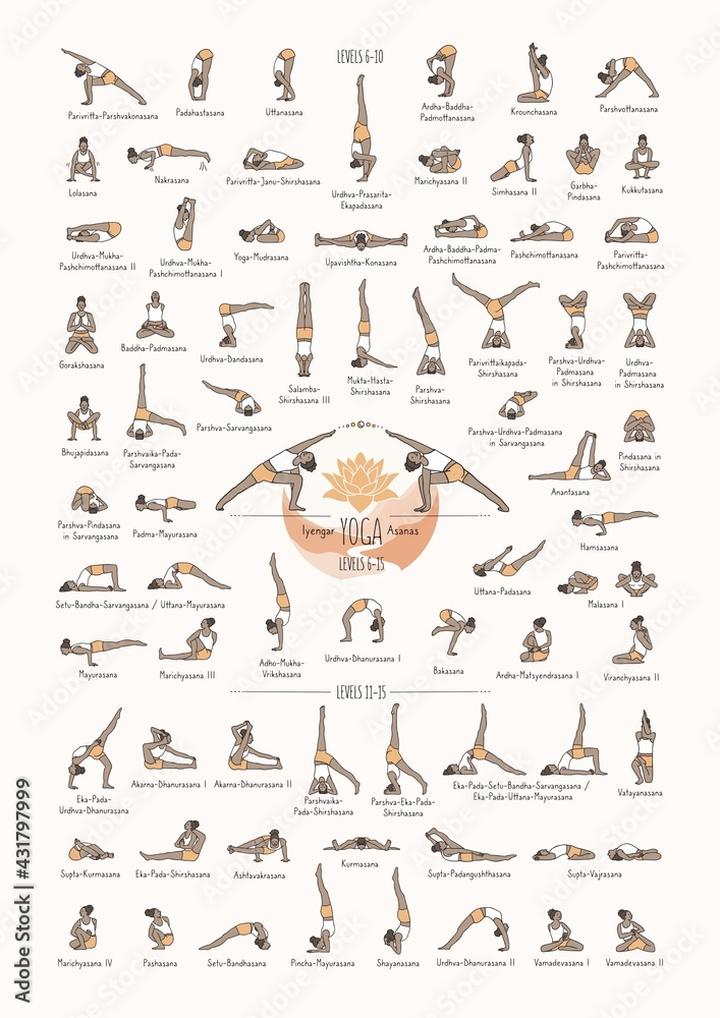 Techniki szkoleniowe dla psów