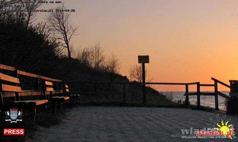 Wieczorne spacery z psem