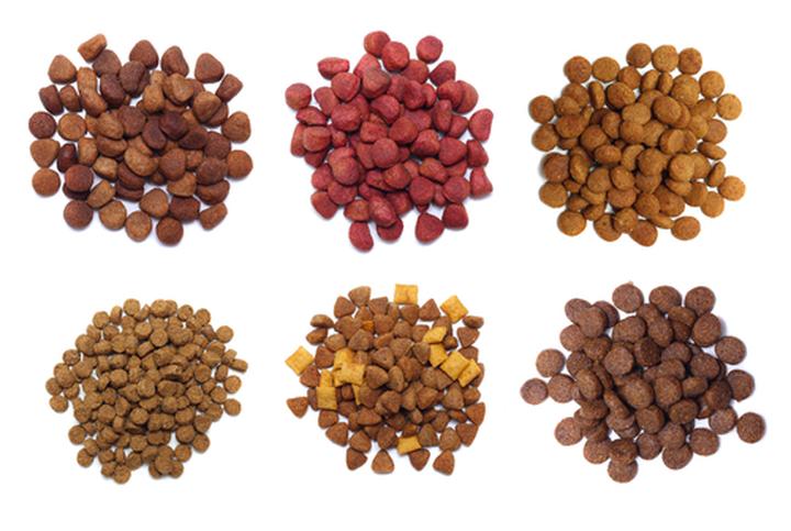 Wybór pokarmu dla psa