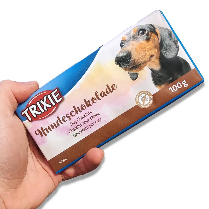 Zatrucie czekoladą u psów