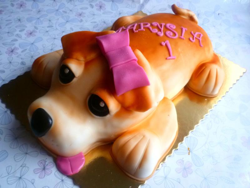 Zatrucie pokarmowe u psa