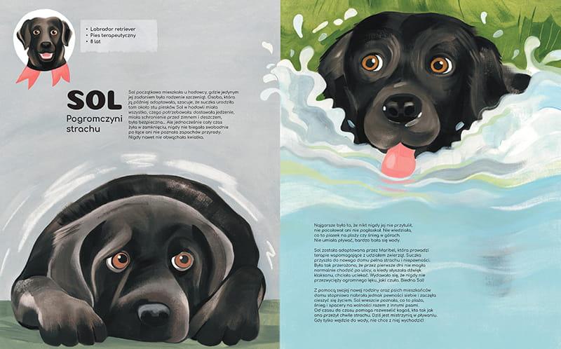 Zatrucie solą u psów