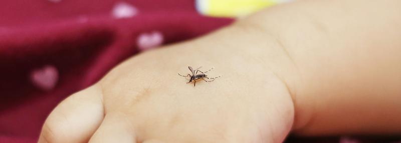 Zmiany klimatyczne a kleszcze