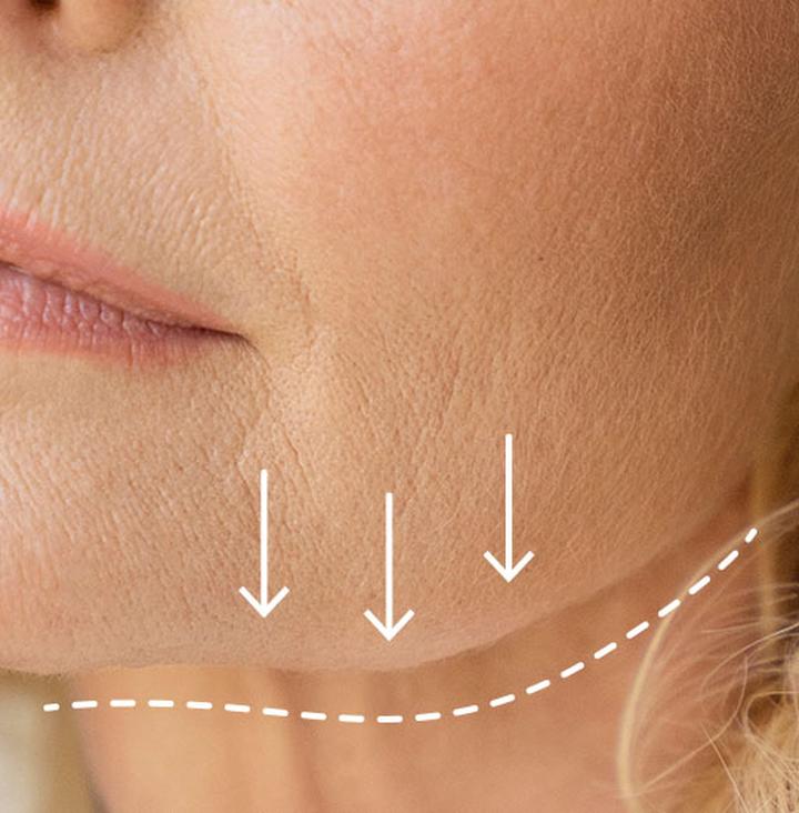 Znaki gotowości chomików