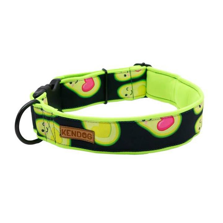 Czy awokado jest bezpieczne dla psów? Sprawdzamy, jak może wpływać na zdrowie pupila.