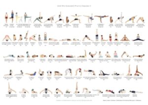 Skuteczne metody na naukę psa wskakiwania na ręce