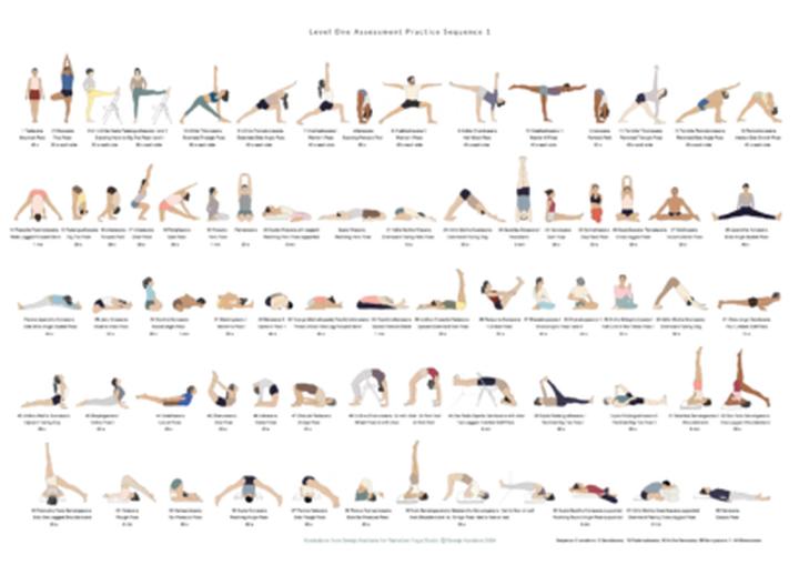 Skuteczne metody na naukę psa wskakiwania na ręce