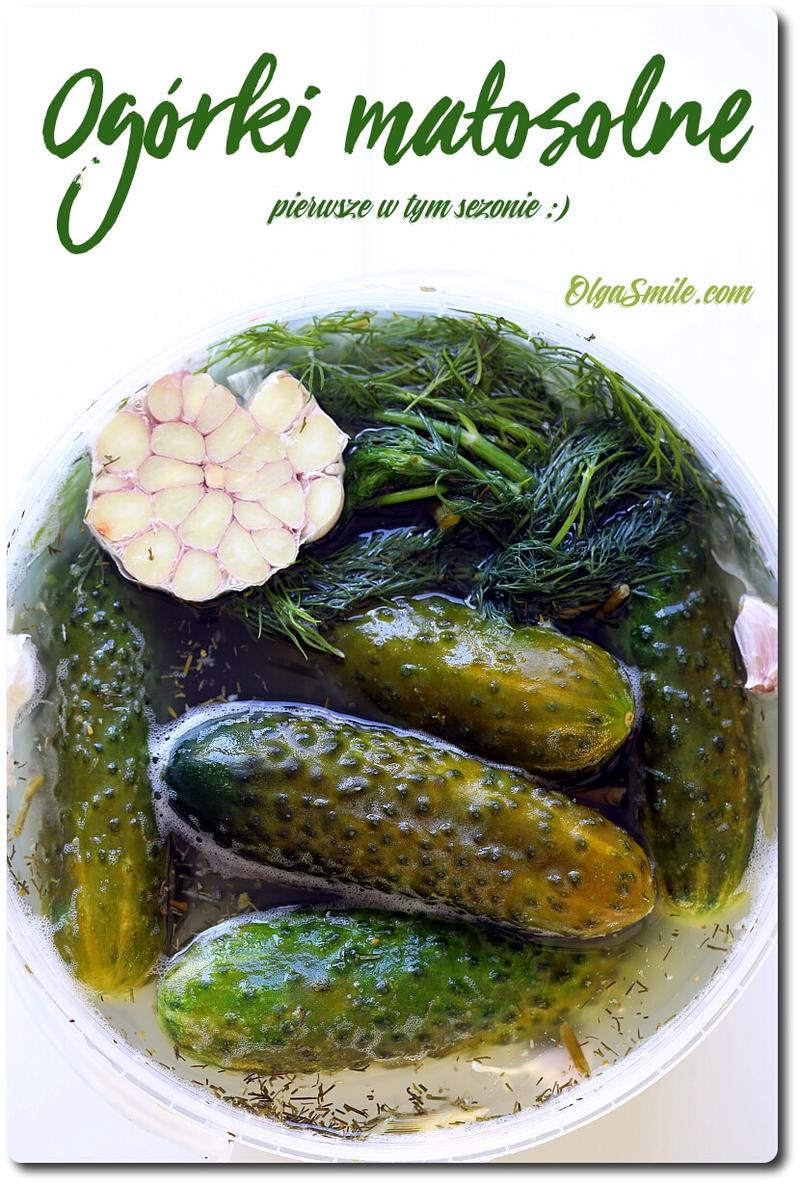 Bezpieczne jedzenie dla psów