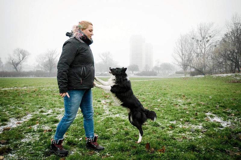 Budowanie zdrowej hierarchii z psem