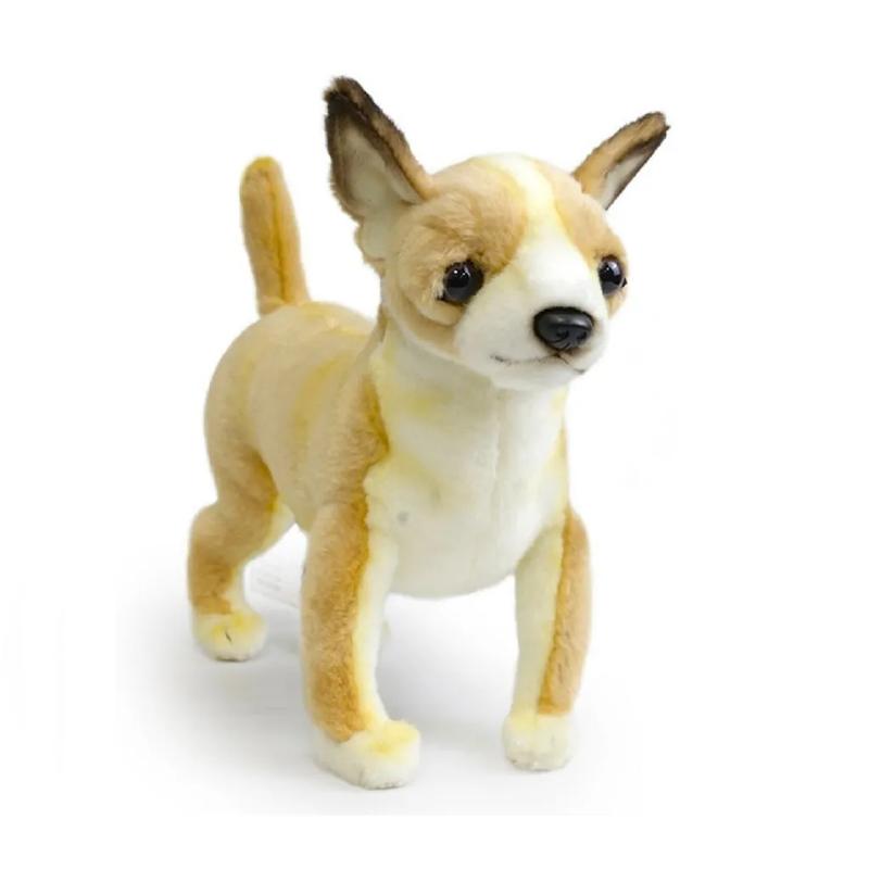 Historia rasy chihuahua