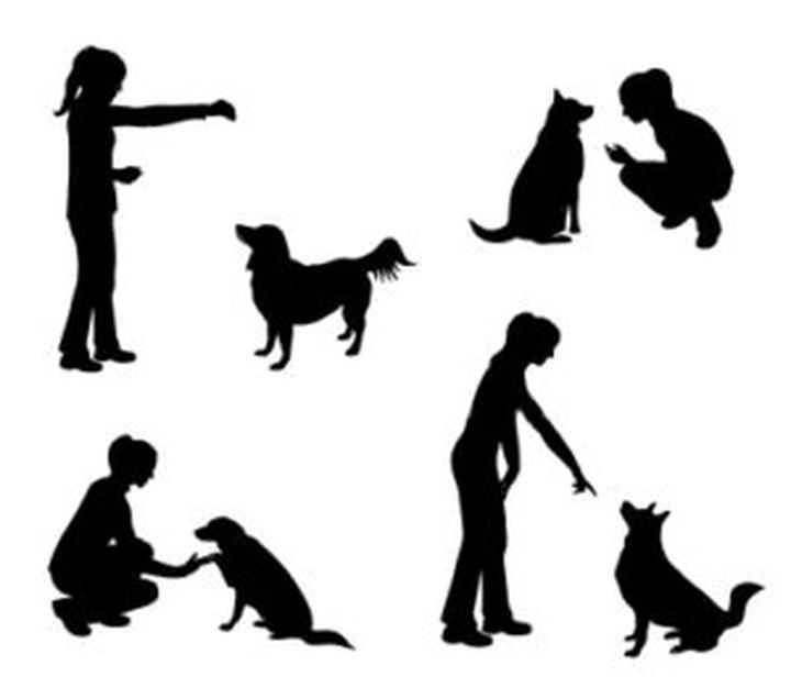 Najlepsze przysmaki dla psa