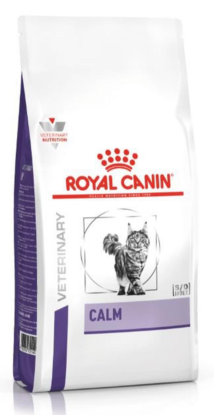 Objawy stresu u kota