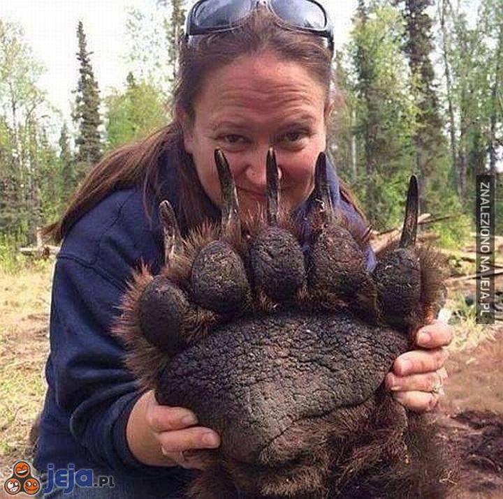 Pielęgnacja roślin ogrodowych