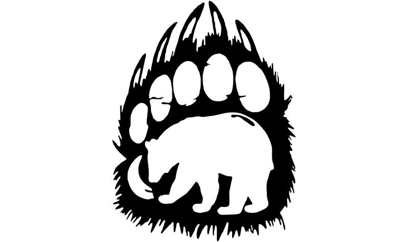 Terapeutyczne właściwości roślin