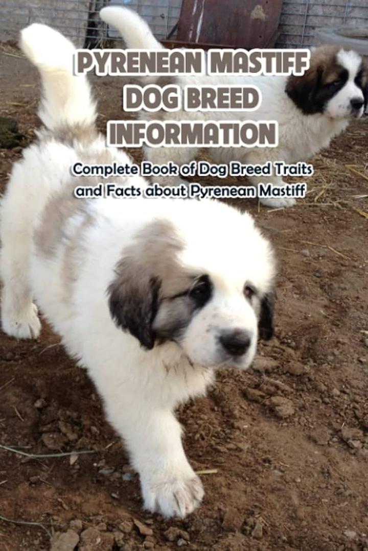 Zdrowie pyrenean mastiff