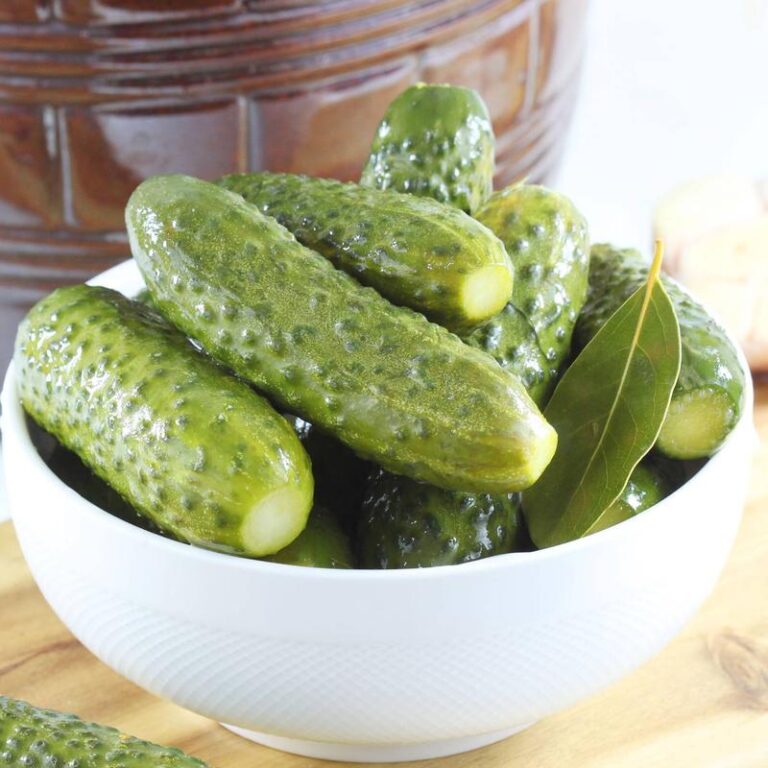 Czy ogórki małosolne są szkodliwe dla psów? Odpowiedź, której szukasz!