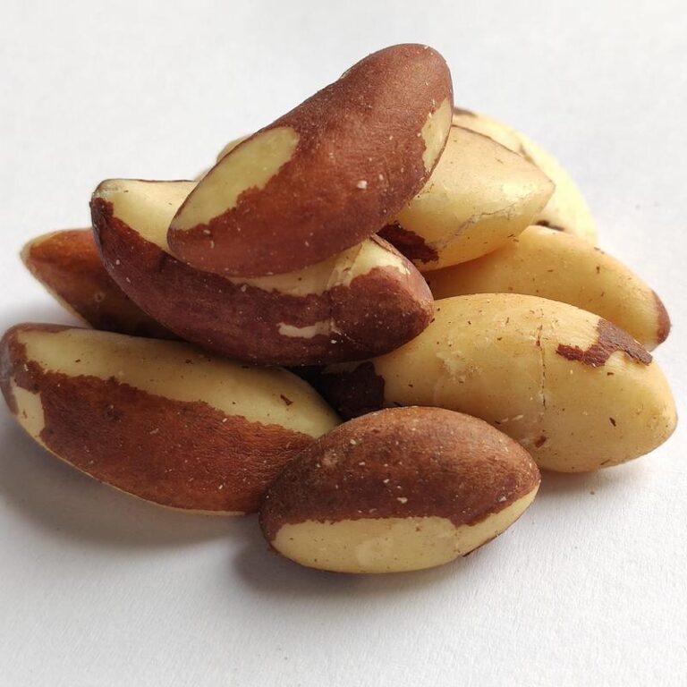 Czy orzechy brazylijskie są szkodliwe dla psów? Sprawdź, zanim podasz swojemu pupilowi!