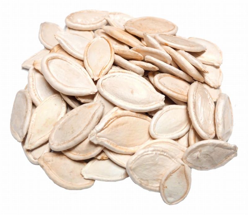 Czy pestki dyni są bezpieczne dla psów? Sprawdzamy, co warto wiedzieć!