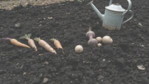 Niewidzialni pasażerowie: odkryj tajemniczy świat larw w ciele naszych pupili