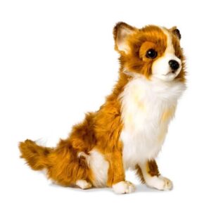 Odkryj urok chihuahua: fascynująca charakterystyka i opis rasy