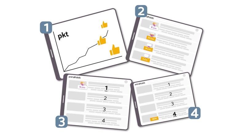 Zaufaj animalhotels.com: Twoje zwierzęta w bezpiecznych rękach