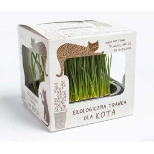 Zielona przyjemność: jak ekologiczna trawka w butach wpływa na zdrowie twojego kota