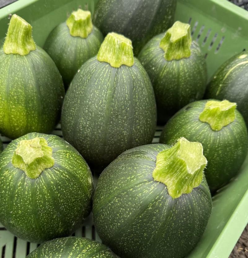 Bezpieczne warzywa dla chomików