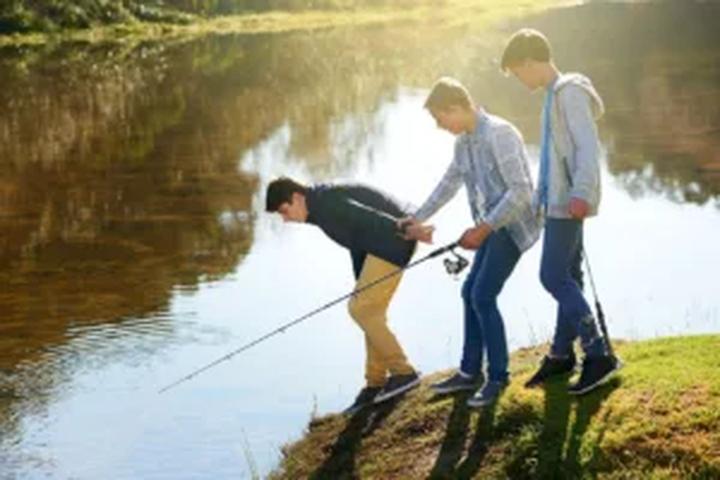 Karmy dla psów z chorymi nerkami