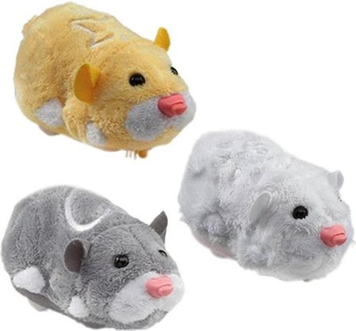 Piszczenie chomików i jego przyczyny