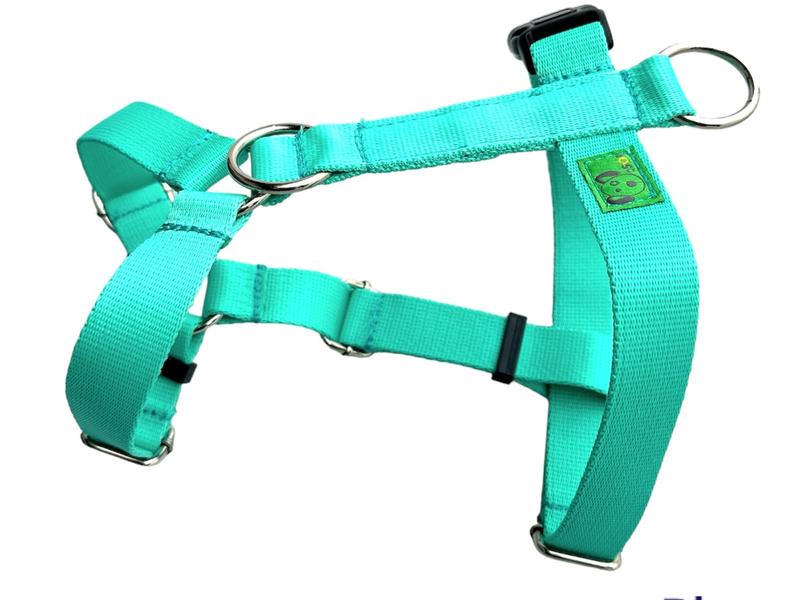 Potencjalne zagrożenia w diecie psa