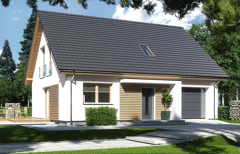 Techniki wychowawcze i trening psa