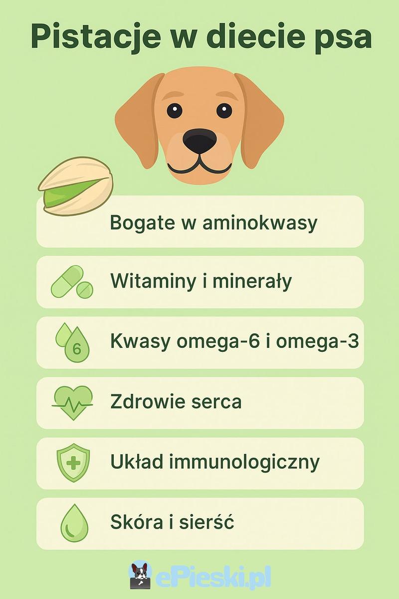 Zdrowe przekąski dla psów