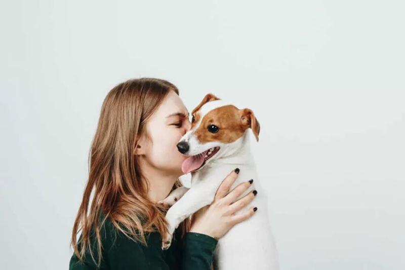 Jak nauczyć psa przytulania: kilka sprawdzonych metod, które zbliżą was do siebie
