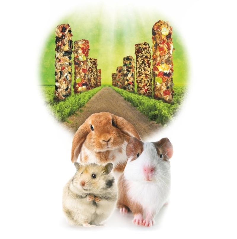 Bezpieczne owoce dla chomików