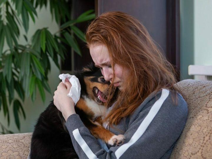 Symptomy zbliżającej się śmierci psa