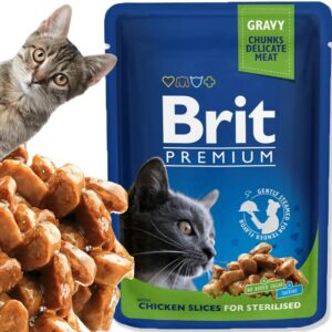 Czy pies może jeść karmę dla kota? Sprawdzamy, czy to mu szkodzi!