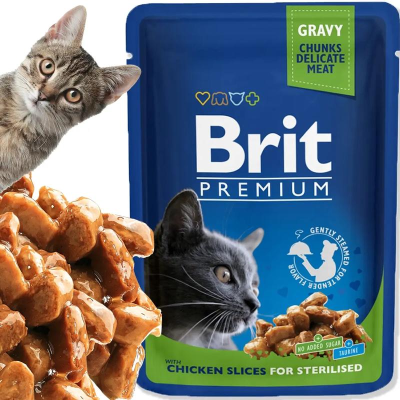 Czy pies może jeść karmę dla kota? Sprawdzamy, czy to mu szkodzi!