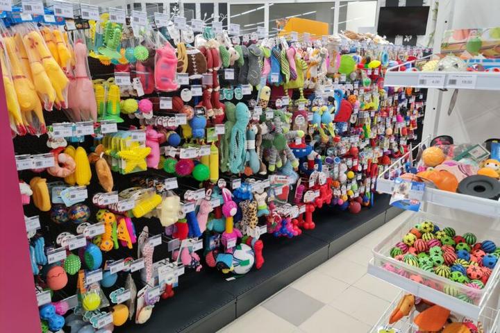 Odkryj, Dlaczego Odwiedziny w Sklepie dla Zwierząt Są Koniecznością