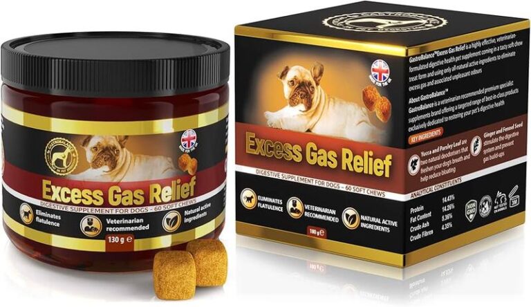 Twardy brzuch u psa – co może oznaczać? Wzdęcie czy groźniejszy problem?