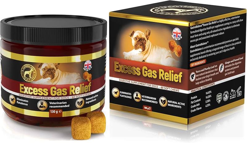 Twardy brzuch u psa – co może oznaczać? Wzdęcie czy groźniejszy problem?