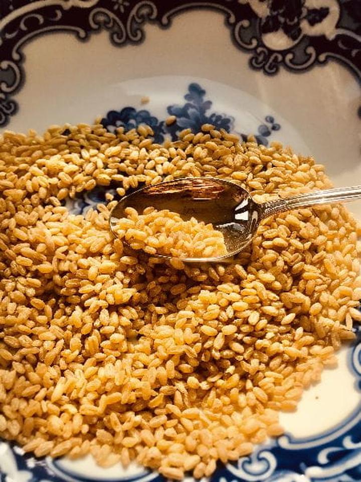 Dieta i żywienie psa