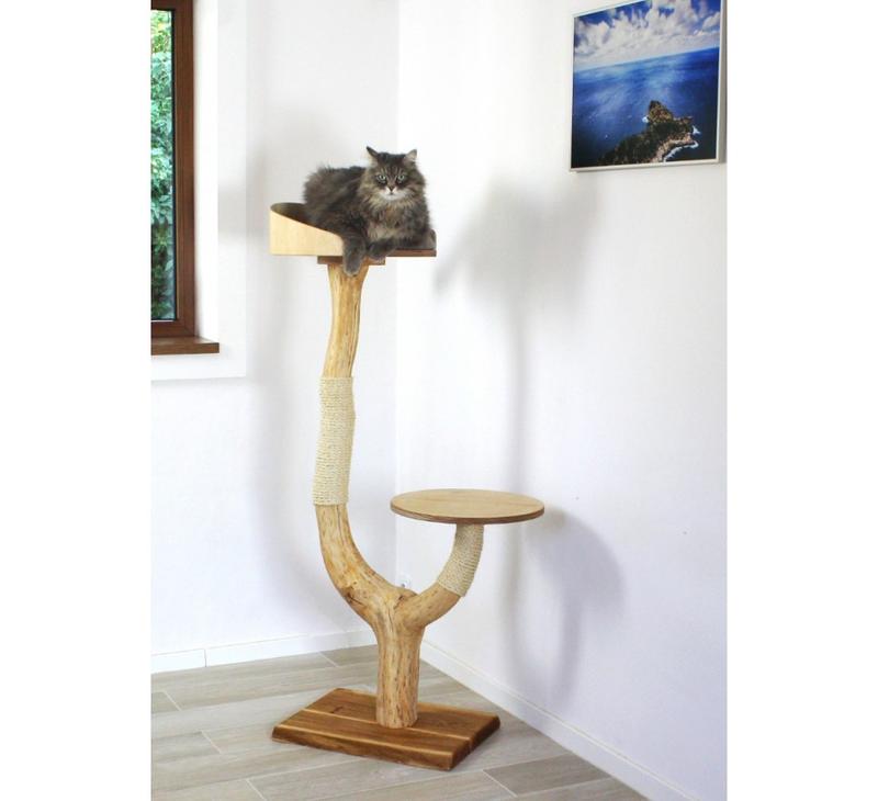 Kocia wyprawka i akcesoria