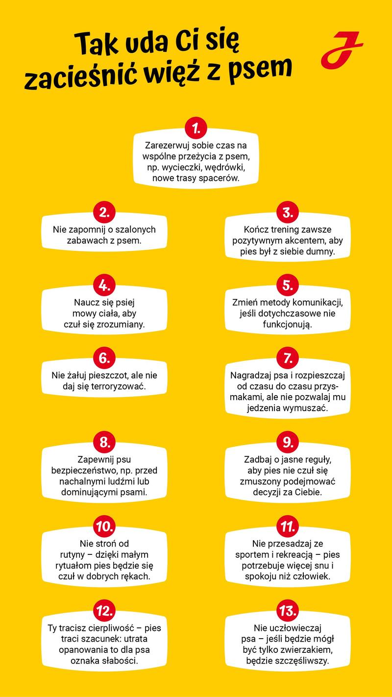 Szkolenie psa w codziennych sytuacjach